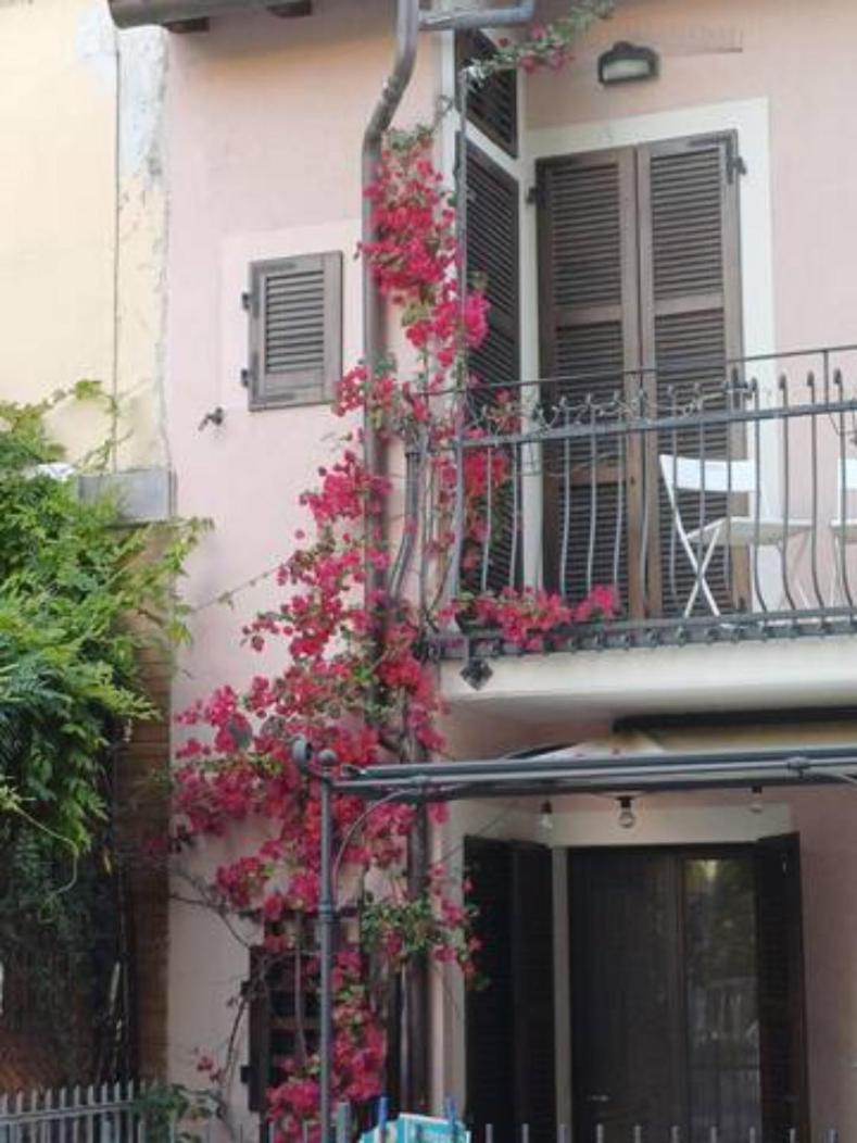 Bouganville House Senigália Exterior foto